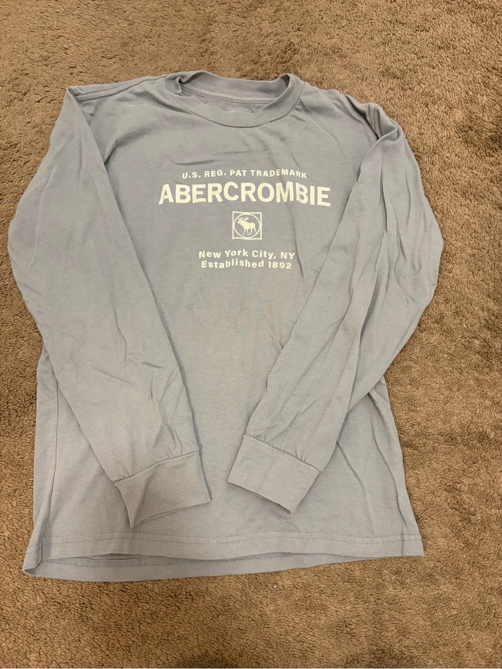 Abercrombie Kids Boys Long-Sleeve Logo Tee — Light Blue